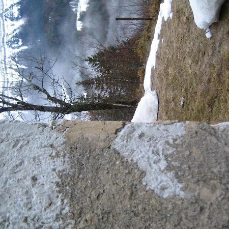 La Chouette A L'Heure Du Pinson Panzió Saint-Pierre-d'Entremont  Kültér fotó