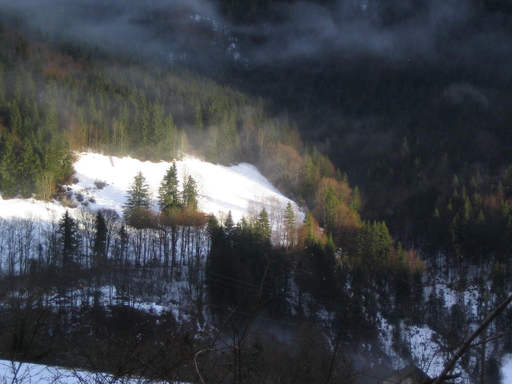 La Chouette A L'Heure Du Pinson Panzió Saint-Pierre-d'Entremont  Kültér fotó