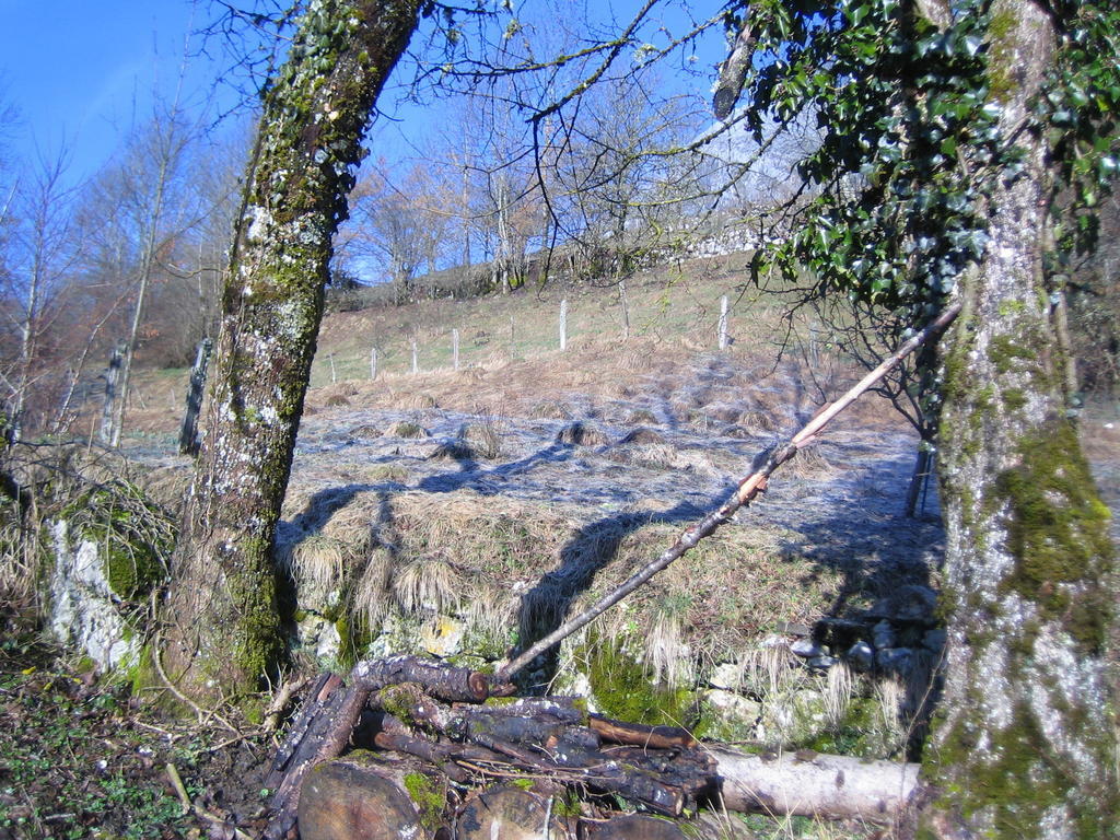 La Chouette A L'Heure Du Pinson Panzió Saint-Pierre-d'Entremont  Kültér fotó