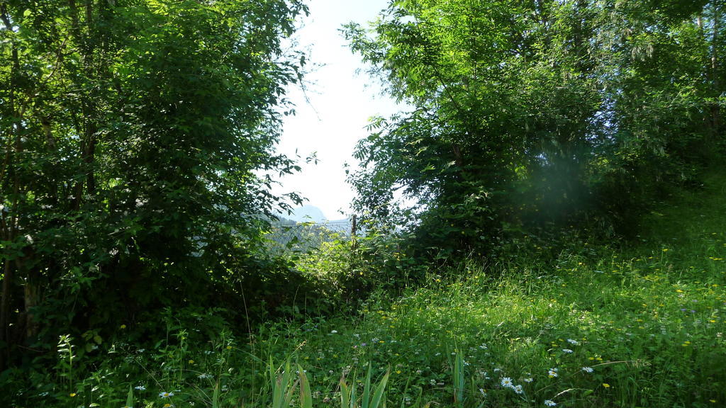 La Chouette A L'Heure Du Pinson Panzió Saint-Pierre-d'Entremont  Kültér fotó