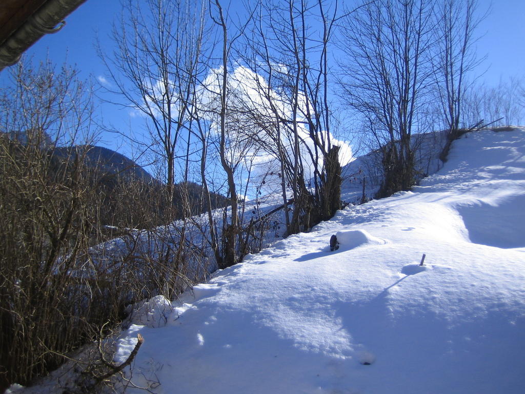 La Chouette A L'Heure Du Pinson Panzió Saint-Pierre-d'Entremont  Kültér fotó