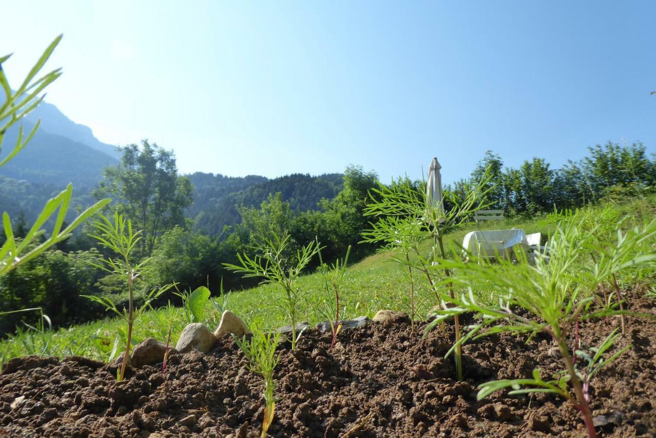 La Chouette A L'Heure Du Pinson Panzió Saint-Pierre-d'Entremont  Kültér fotó